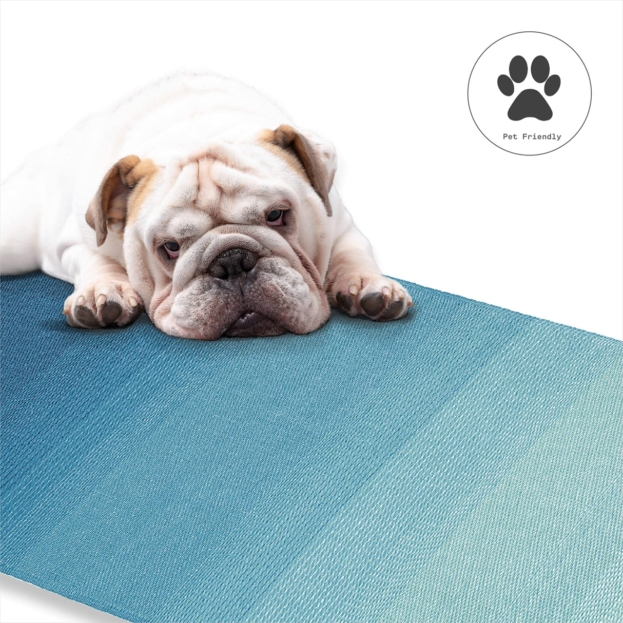 Ombre Outdoor Rug - Waterproof, Fade Resistant, Crease-Free, Reversible - Premium