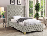 Savan Collection Velvet Upholstered Bed with Deep Button Tufting in Gold or Chrome Finish