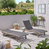 307672 Patio Lounge Chairs, Gray + Gray Finish