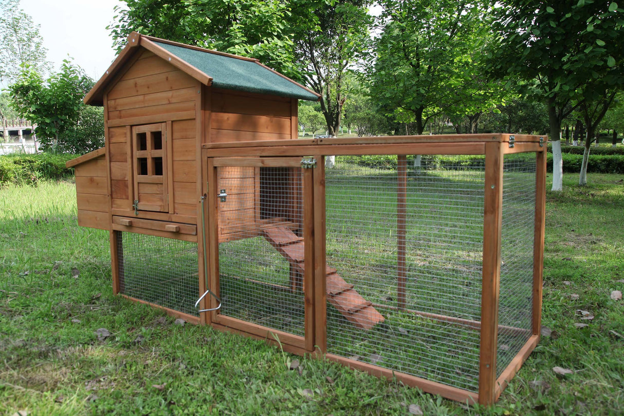 Backyard chicken hutch with nesting box, sliding tray, and secure fencing