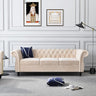 Modern Tufted Couch 3 Seater with Rolled Arms and Nailhead