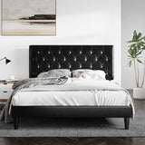 Queen Size Bed Frame with Button Tufted Headboard, Faux Leather Upholstered Mattress