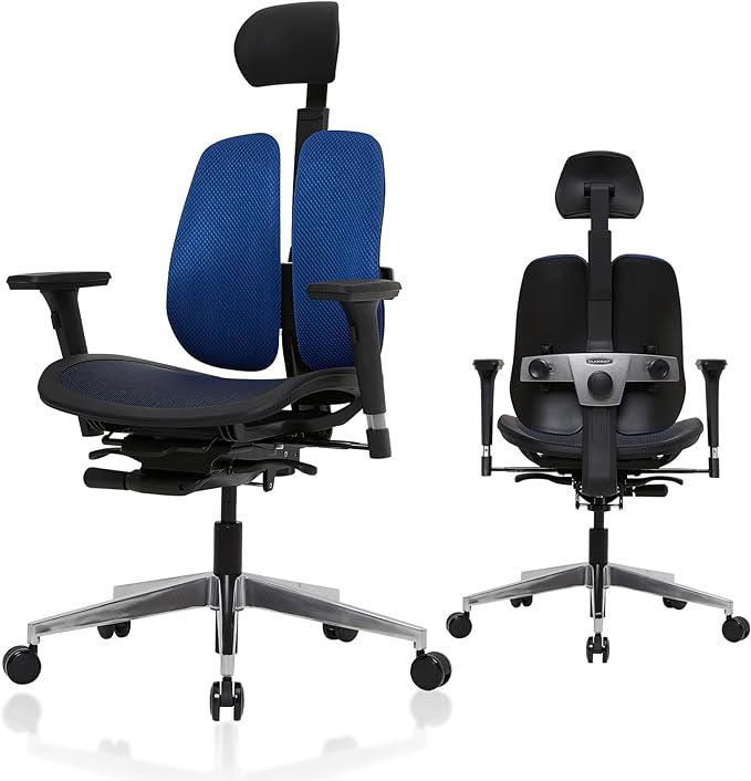 Dual-backrests Alpha - Ergonomic Office Chair, Home Office Desk Chairs