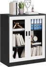 Steel Combination Storage Cabinet with 4 Shelves, 2 Lockable Doors