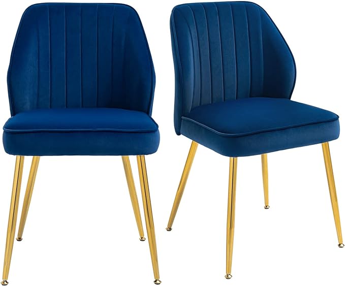 Modern Upholstered Dining Chairs Set of 2 with Seat Cushion