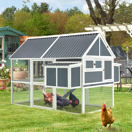 CluckCottage walk-in wooden chicken coop with nesting boxes