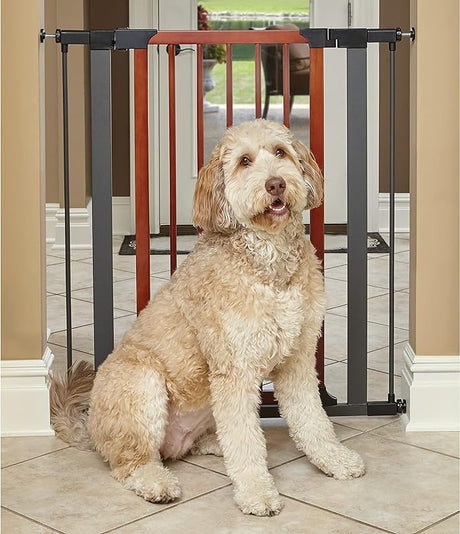 39' High Walk-thru Steel Pet Gate, 29' - 38' Wide in Textured Graphite