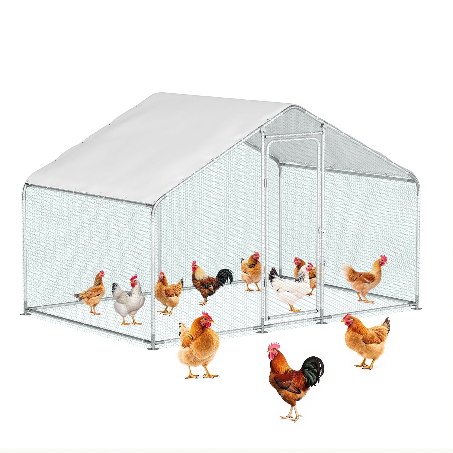 Double-lock metal door poultry pen for ducks, rabbits, and chickens