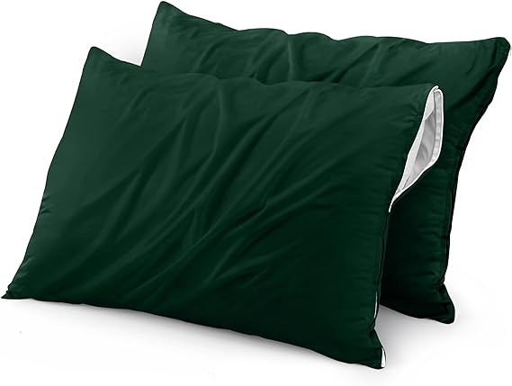 Waterproof Pillow Protector Zippered (2 Pack) Queen – Bed Bug Proof Pillow Encasement
