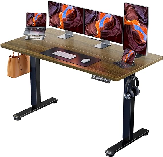 Height Adjustable Electric Standing Desk