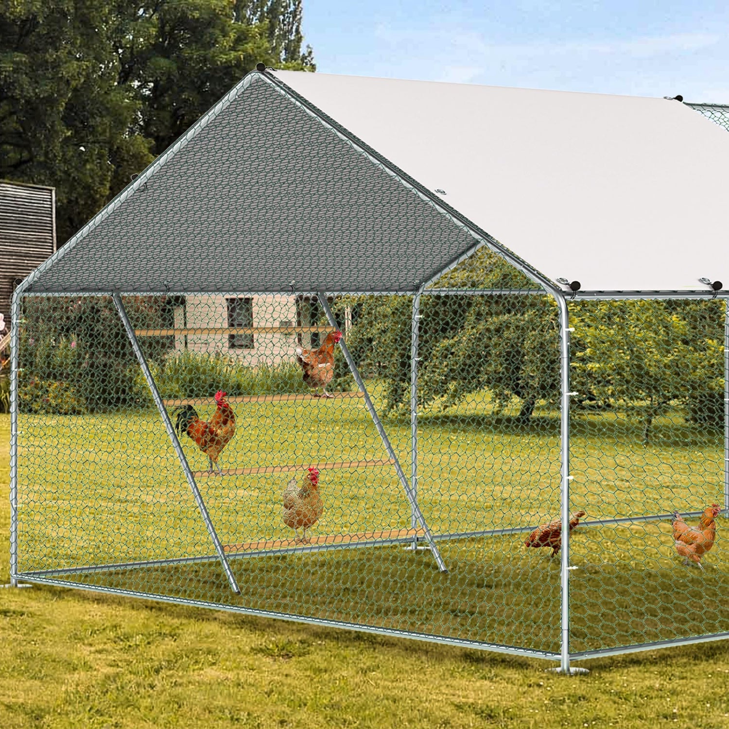 Extra-large chicken roost bar with multi-level design for exercise and comfort