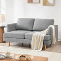 Small Loveseat Sofa Couch, 65" Mid Century Modern Love Seat Couches for Living Room