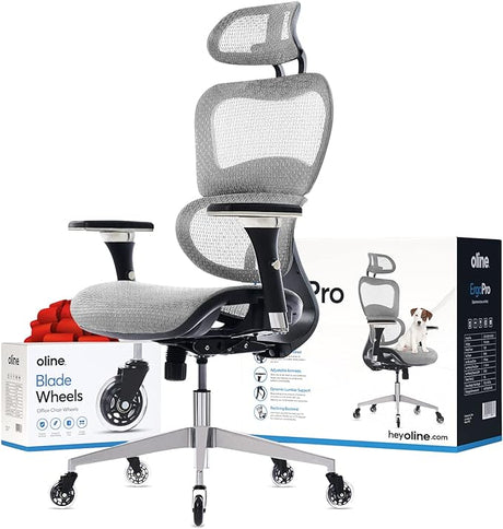 ErgoPro Ergonomic Office Chair, Rolling Desk Chair