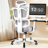 Office Chair Ergonomic Desk Chair, High Back Computer Gaming Chair