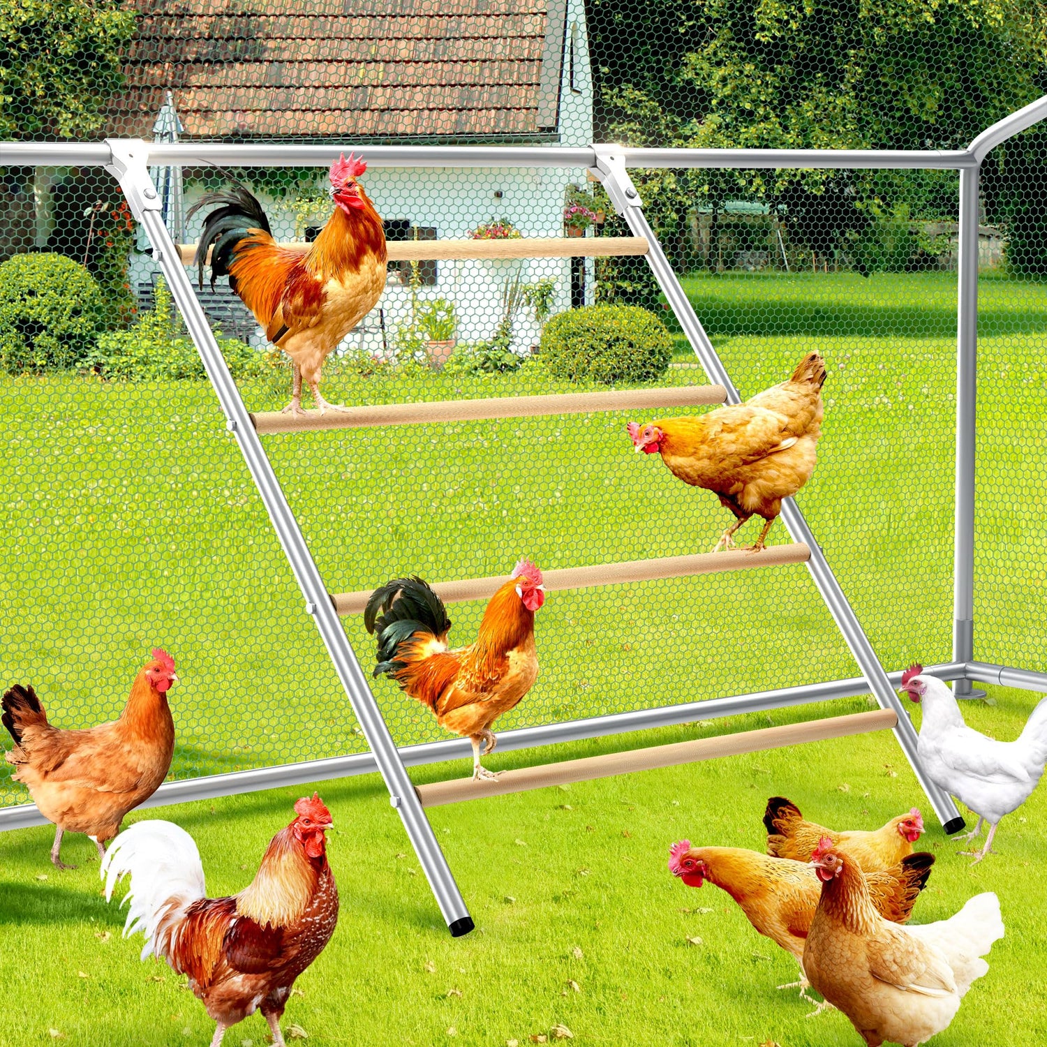 HITTITE 4-layer chicken roosting perch with galvanized frame
