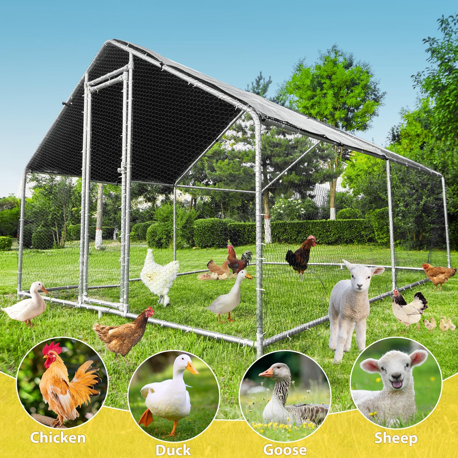 Large chicken pen with roof, suitable for chickens
