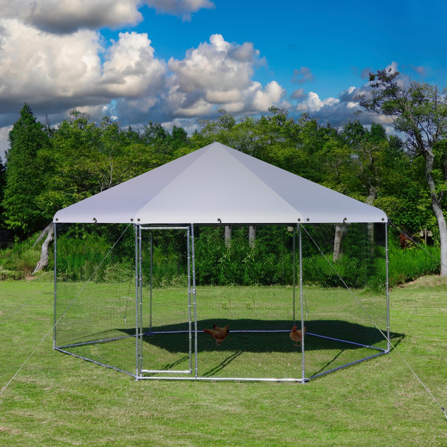 Large outdoor hexagonal run for chickens and ducks with tool-free setup