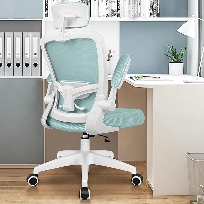 Ergonomic Office Chair, Headrest Desk Chair