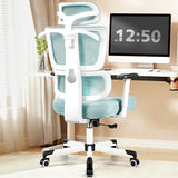 Office Chair Ergonomic Desk Chair, High Back Computer Gaming Chair