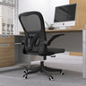 Office Chair - Ergonomic Office Chair with Lumbar Support