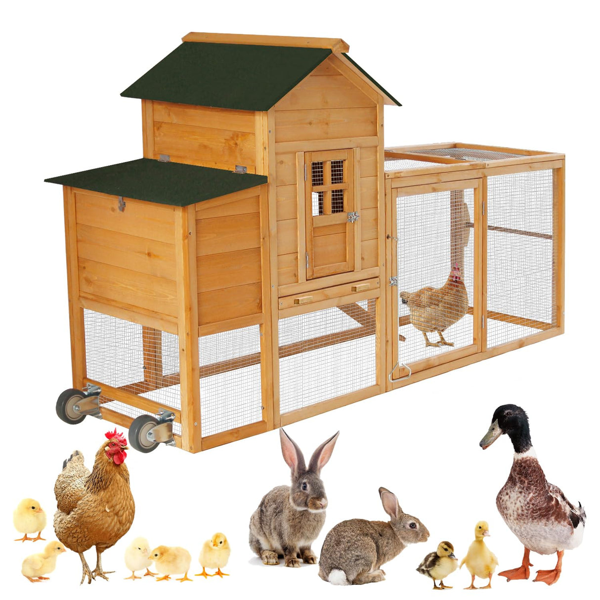 Mobile coop with galvanized wire fencing and removable bottom tray