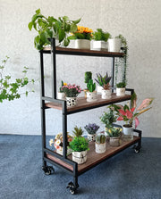 Mobile metal plant shelf with wood shelves