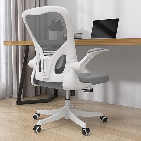 Office Chair - Ergonomic Office Chair with Lumbar Support