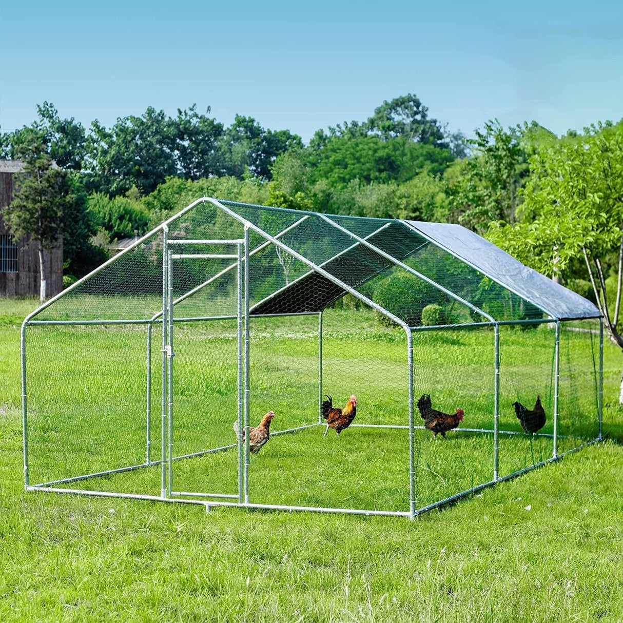 Outdoor chicken run with reinforced frame and predator-proof mesh walls