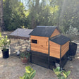 Outdoor hen house with fir wood and metal frame, 6 access doors