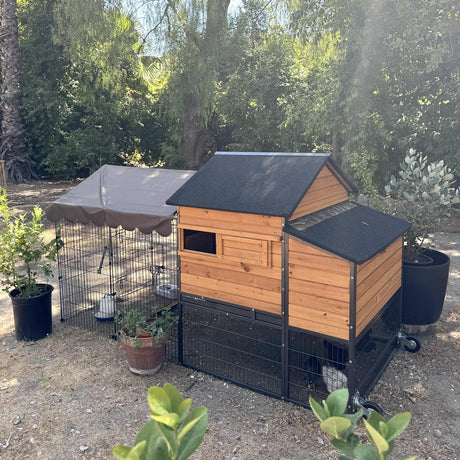 Outdoor hen house with fir wood and metal frame, 6 access doors