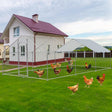 Outdoor multi-animal metal pen with predator-proof hex mesh walls