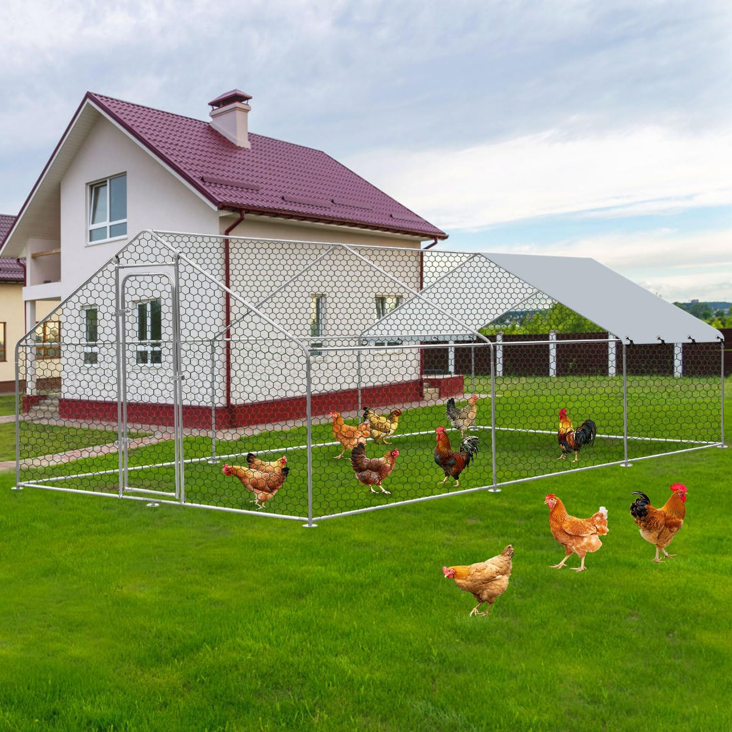 Outdoor multi-animal metal pen with predator-proof hex mesh walls