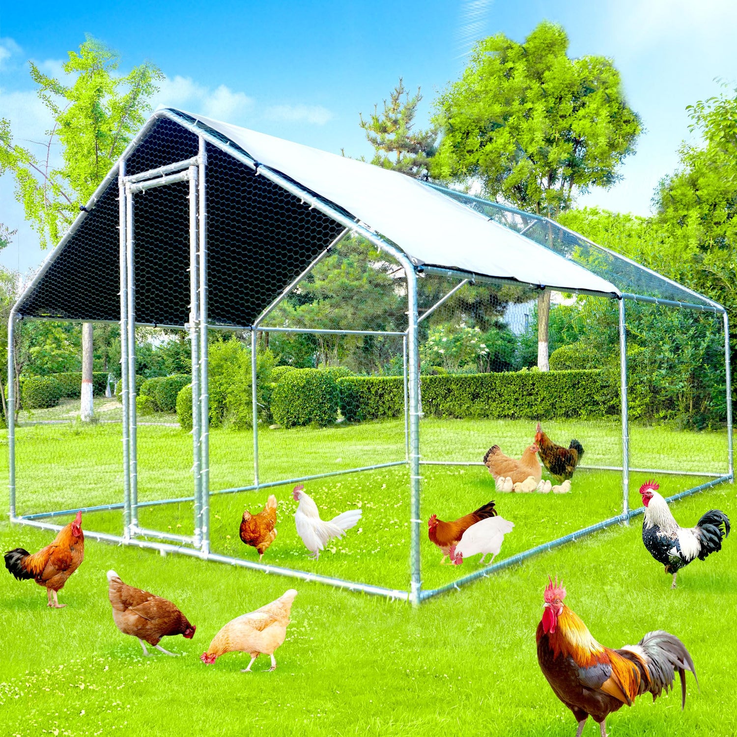 Outdoor poultry run with predator-proof door and rust-resistant frame