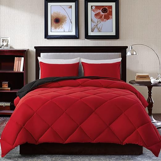 Lightweight Queen Comforter Set with 2 Pillow Sham - 3 Pieces Se