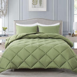 Lightweight Queen Comforter Set with 2 Pillow Sham - 3 Pieces Se