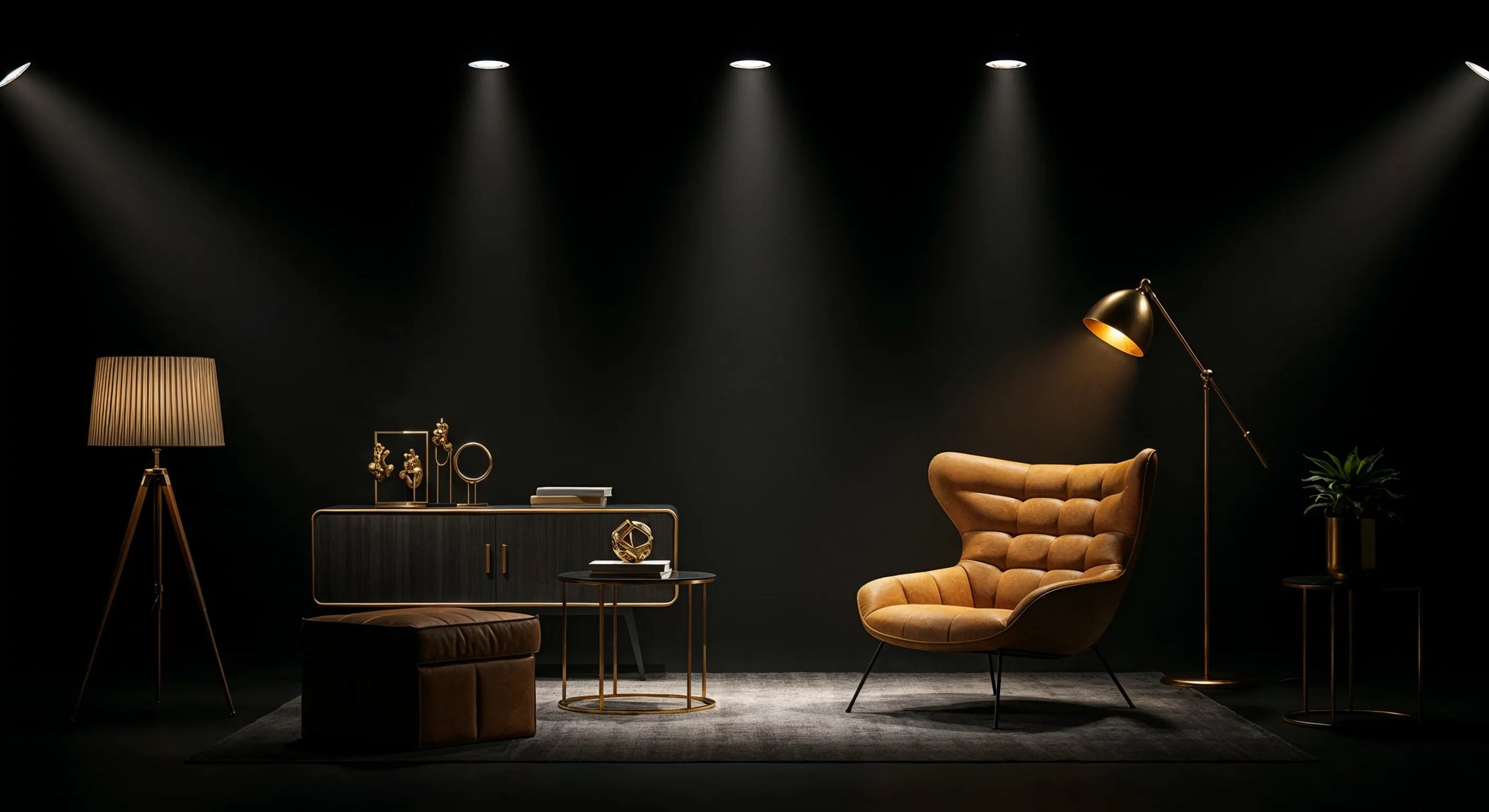 Exclusive offer on Black friday Bircata