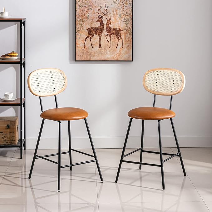 Counter Stools Rattan Back Dining Chair, Indoor Faux Leather Bar Stools Set of 2