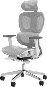 Ergonomic Office Chair