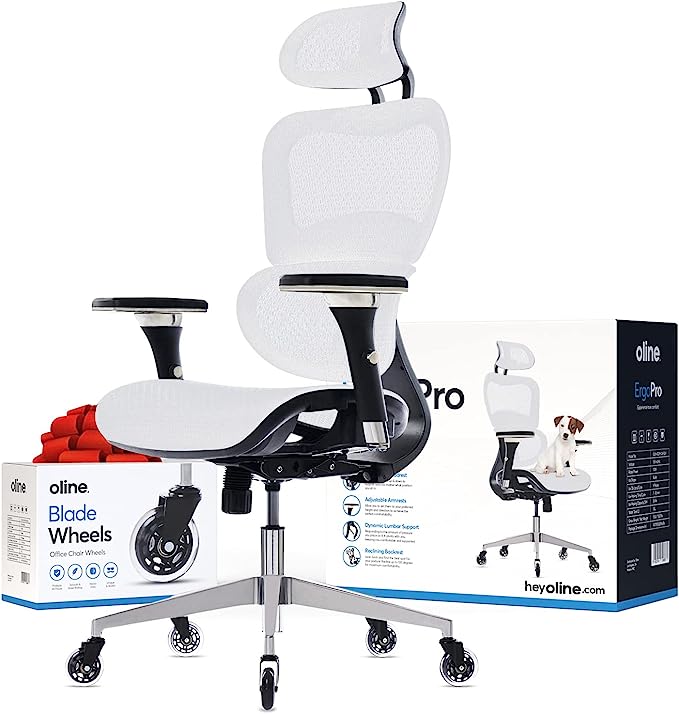 ErgoPro Ergonomic Office Chair, Rolling Desk Chair