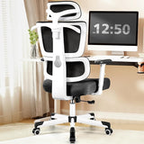 Office Chair Ergonomic Desk Chair, High Back Computer Gaming Chair