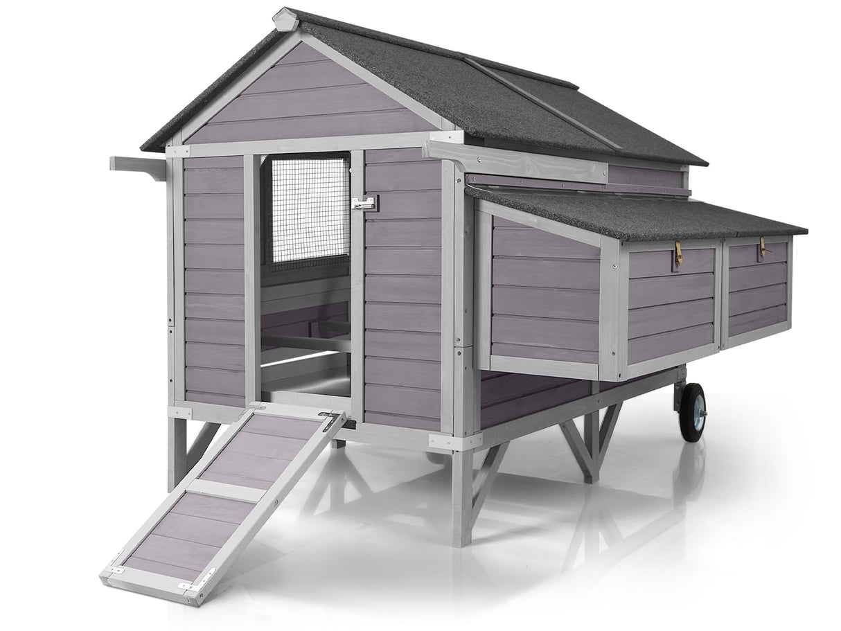 Wooden hen house with asphalt roof and reinforced iron frame