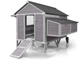 Wooden hen house with asphalt roof and reinforced iron frame