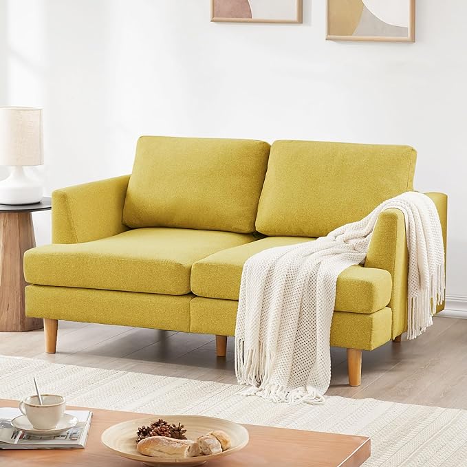 Mid Century Modern Love Seat Couches for Living Room