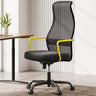 M101C Ergonomic Office Chair-High Back Mesh Office Chair