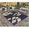Indoor Outdoor Area Rug, Flatweave, Washable, Stain Resistant Carpet