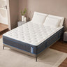 Twin Mattress, Lechepus 14 Inch Hybrid Mattress, Medium Plush