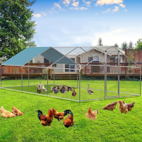large steel chicken run with hex wire mesh