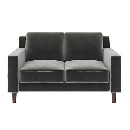 Brynn Loveseat Seater Upholstered, Living Room Furniture, Sofa, 2, Gray Velvet