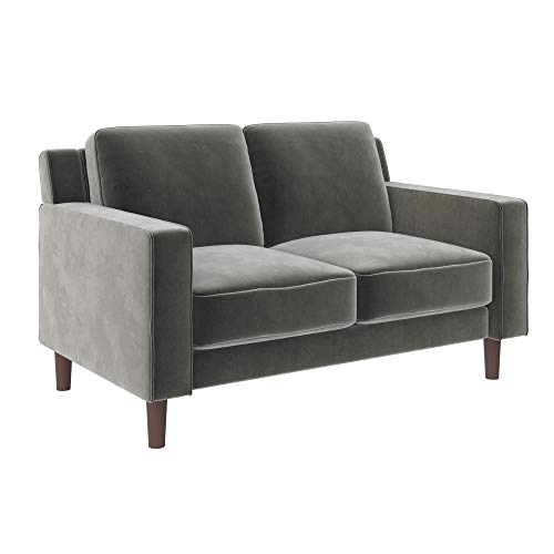 Brynn Loveseat Seater Upholstered, Living Room Furniture, Sofa, 2, Gray Velvet