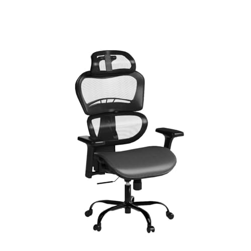 ErgoPro Ergonomic Office Chair, Rolling Desk Chair